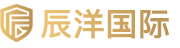 辰洋国际